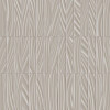 TRUE COLOR WAVE FOSSIL TRATTI MOSAICO