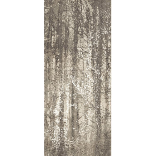 YLICO 120X278 WOOD FOG