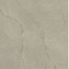 MUSE 60G PT