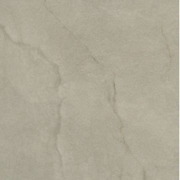 MUSE 60G PT
