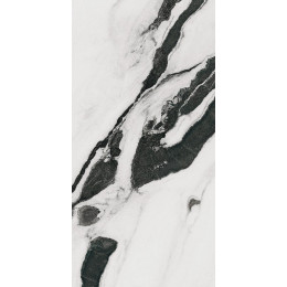 PAN WH6 12 LP
