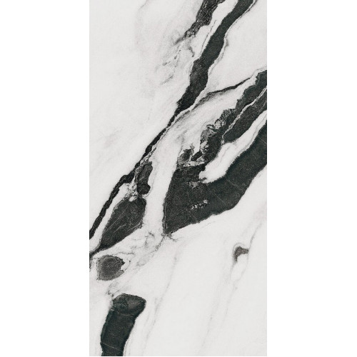 PAN WH6 12 LP