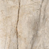 SAN PE6 120 LP