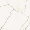 STA VP6 60 LP