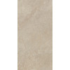 Arke Beige 60X120 R10