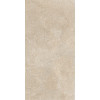 Brystone GOLD 60X120 R9 RT