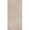 Brystone GOLD 30X60 R9 RT
