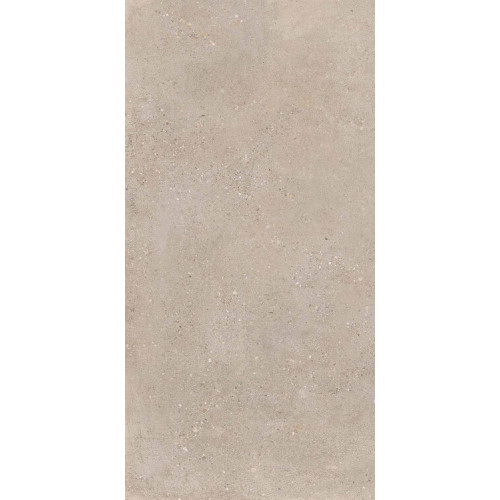 District GREIGE 60X120 R10 RT