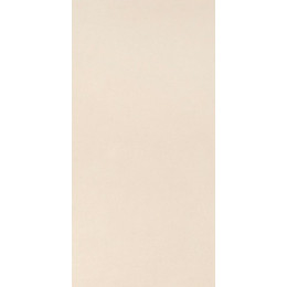 Elements Design IVORY 30X60 RT