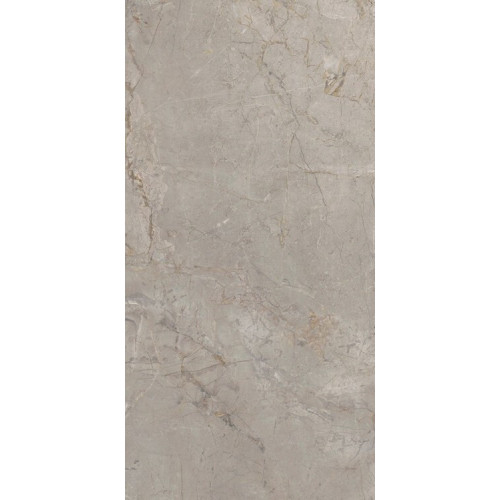 Elements Lux Silver Grey 60X120 NAT