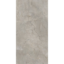 Elements Lux Silver Grey 60X120 Lappato