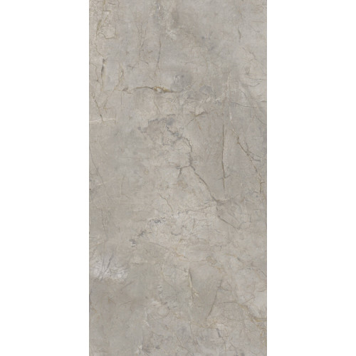 Elements Lux Silver Grey 60X120 Lappato