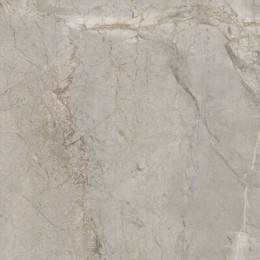 Elements Lux Silver Grey 60X60 Lappato