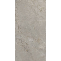 Elements Lux Silver Grey 60X120 Silk