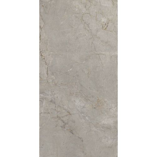Elements Lux Silver Grey 60X120 Silk