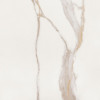 Elements Lux Calacatta Gold Silk 120X120