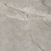 Elements Lux Silver Grey 60X60 Silk