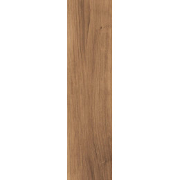 Evoke BROWN 30X120X2 SP RT