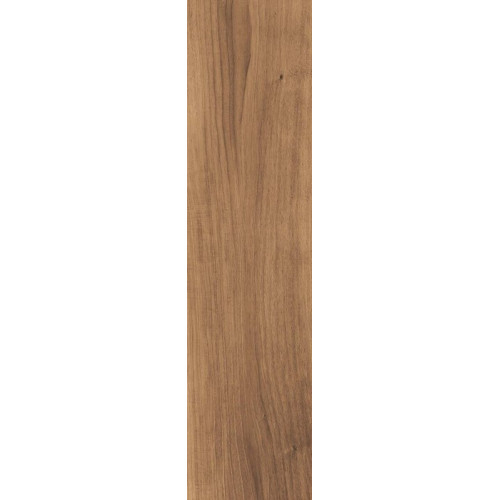 Evoke BROWN 30X120X2 SP RT