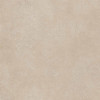 Geo BEIGE 60X60 R11 RT