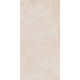 Geo WHITE 60X120 R10 RT