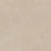 Geo BEIGE 60X60 R9 RT