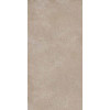 Geo WALNUT 30X60 R9 RT