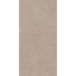 Geo WALNUT 30X60 R11 RT