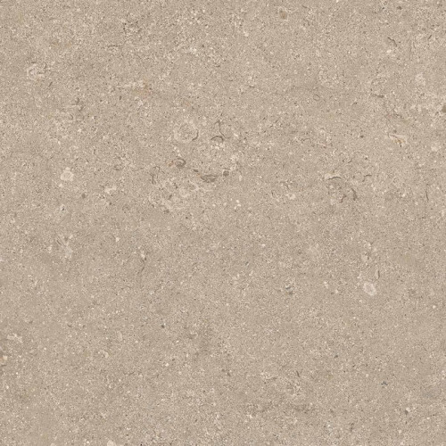 Heritage BEIGE 60X60 R11 RT