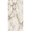 INTERNO4 Breccia Tortona 60X120 NAT