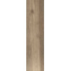 Journey BONE 30X120X2 SP RT
