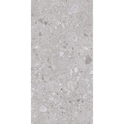 Omnia Ceppo Grey 60X120X2 SP RT