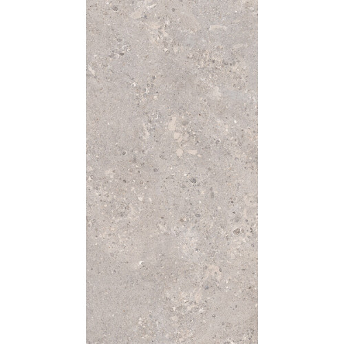 Omnia Devix Greige 60X120X2 SP RT