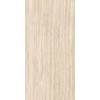 Omnia Romano Sand 60X120X2 SP RT