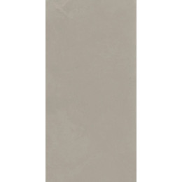 Syntech TAUPE 30X60 R9 RT