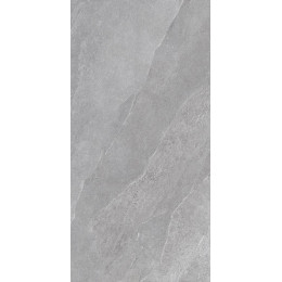 Ubik GREY 60X120X2 SP RT