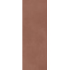 Calce Terracotta 100х300 5