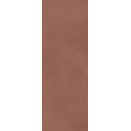 Calce Terracotta 100х300 5