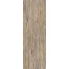 Legno Venezia Sabbia 100х300 3+