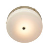 Потолочный светильник для ванных комнат Elstead Lighting TAMAR-F-M-PG