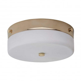 Потолочный светильник для ванных комнат Elstead Lighting TAMAR-F-M-PG
