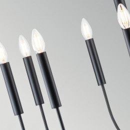 Люстра Generation Lighting, Арт. FE-BRIANNA9-BK