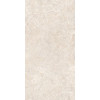ALCHEMY EARTH AS/60X120X0,9/C/R