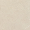 ALPINE BEIGE SP/100X100/R