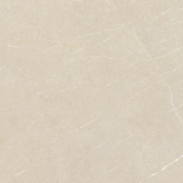 ALPINE BEIGE SP/100X100/R