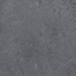 ALPINE ANTH SP/100X100/R