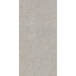 GHENT GREY AS/60X120/C/R