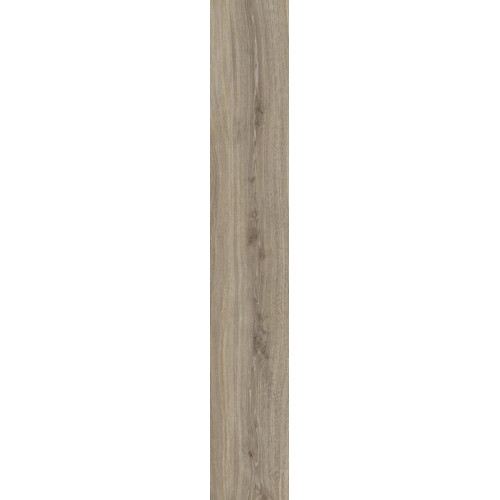 TAOS TAUPE/24X151X0,9/R