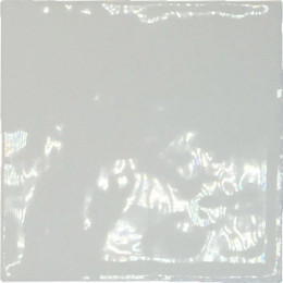 Atelier Blanc De Lin Glossy 10x10 см