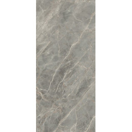 Etoile de Rex Gris Glossy 60x120 см